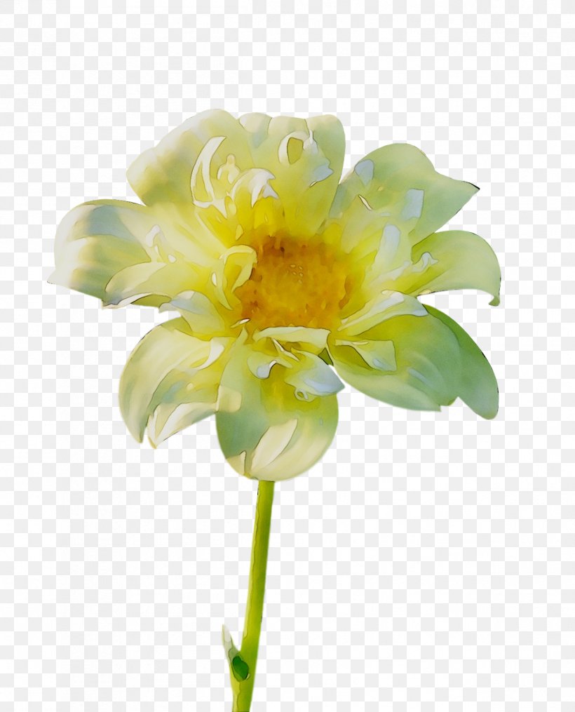 Cut Flowers Floristry Plant Stem Petal Daisy Family, PNG, 1211x1500px, Cut Flowers, Amaryllis Family, Artificial Flower, Botany, Chrysanthemum Download Free