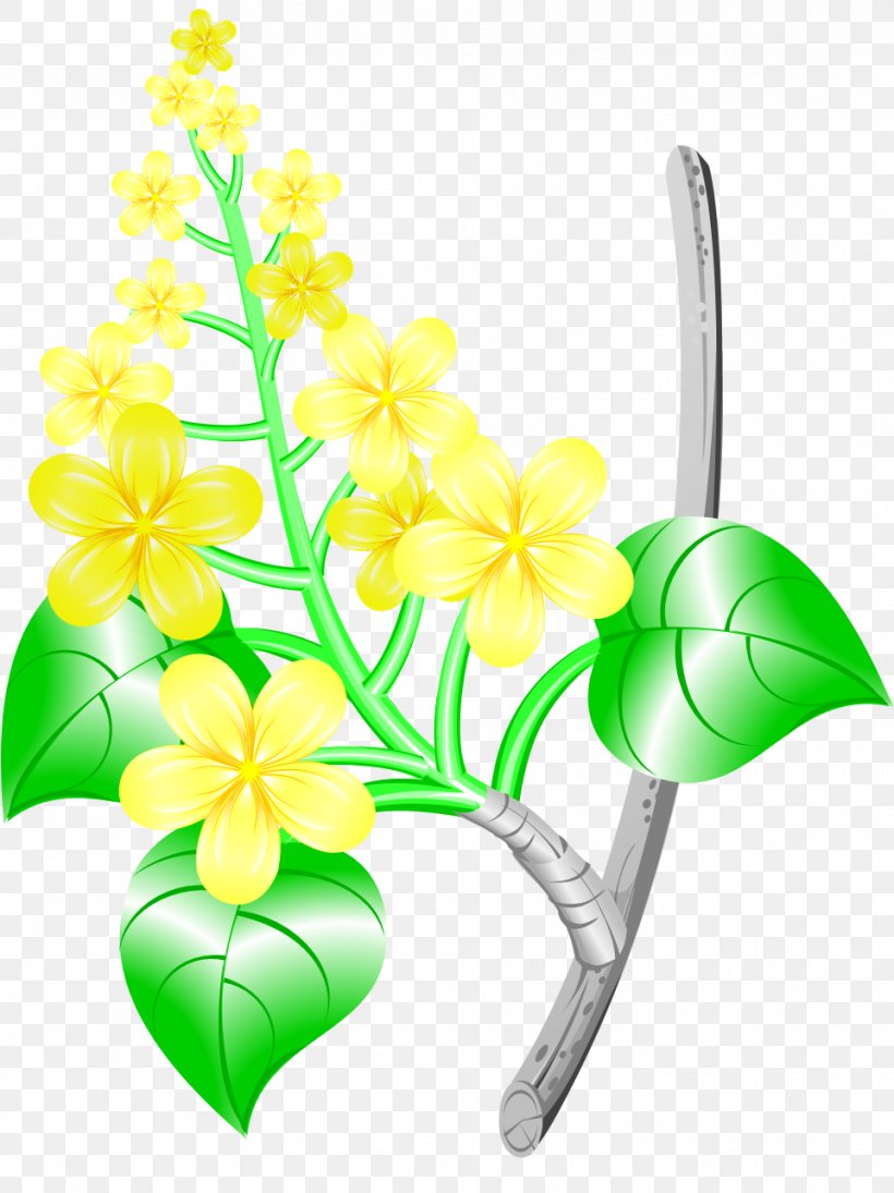 Floral Design Cut Flowers Moth Orchids Plant Stem Leaf, PNG, 961x1284px, Floral Design, Branch, Cut Flowers, Flora, Floristry Download Free