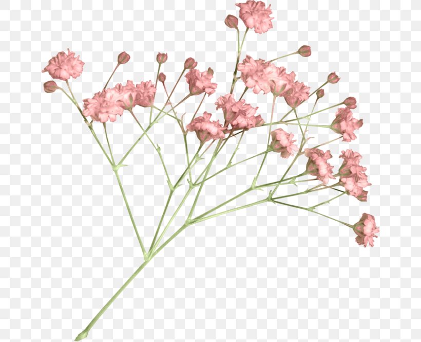 Flower Clip Art, PNG, 658x665px, Flower, Blossom, Branch, Cherry Blossom, Cut Flowers Download Free