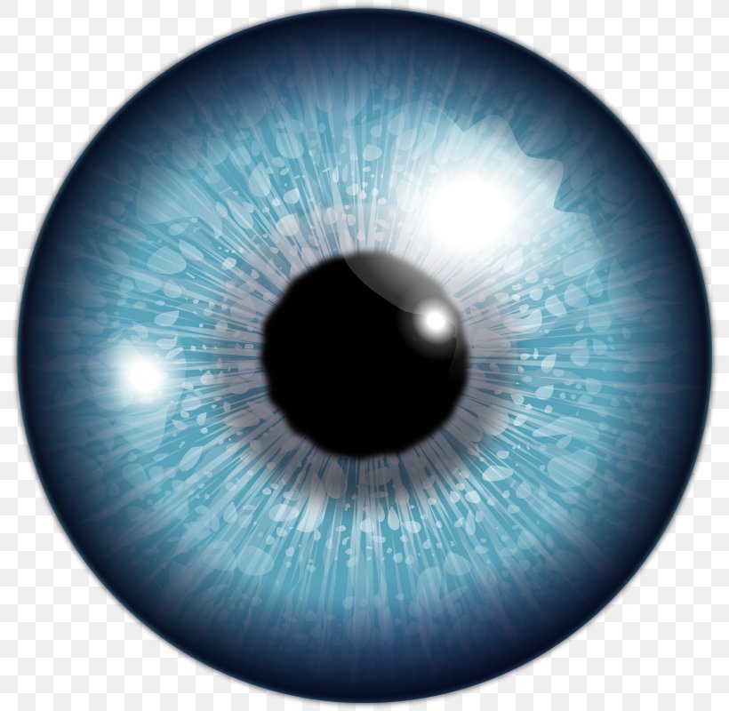 Human Eye Red Eye Lens, PNG, 800x800px, Watercolor, Cartoon, Flower, Frame, Heart Download Free
