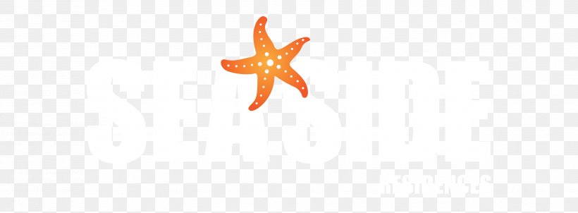 Starfish Echinoderm Font, PNG, 3508x1292px, Starfish, Echinoderm, Invertebrate, Marine Invertebrates, Orange Download Free