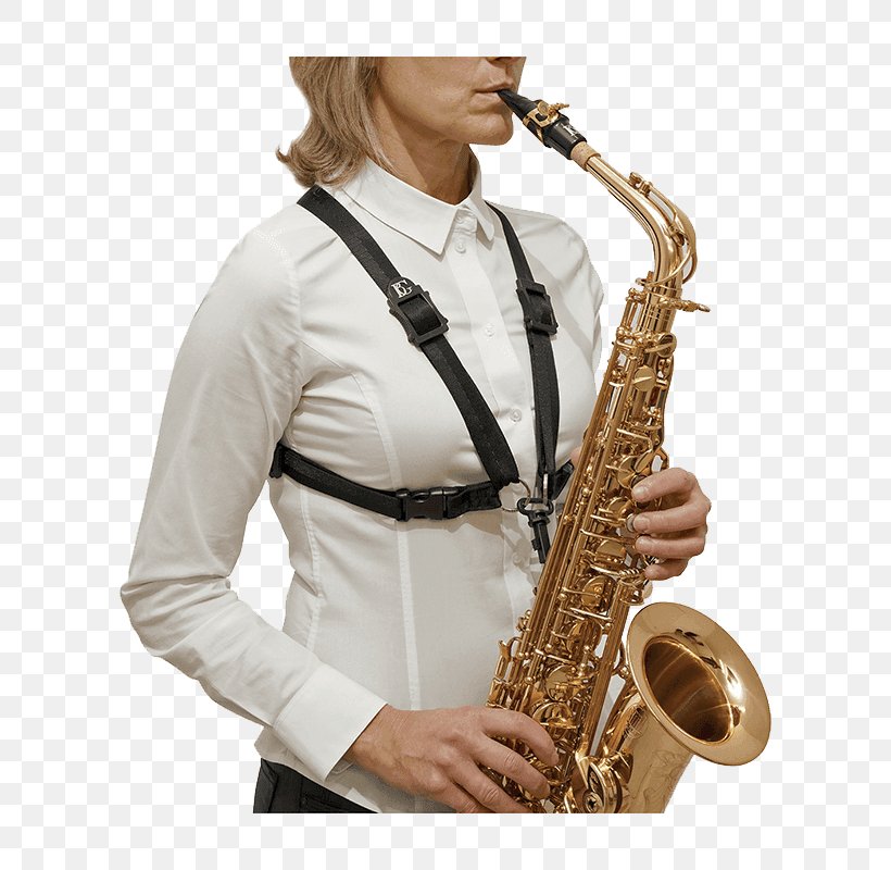 Baritone Saxophone Alto Saxophone Tenor Saxophone Musical Instruments, PNG, 800x800px, Watercolor, Cartoon, Flower, Frame, Heart Download Free