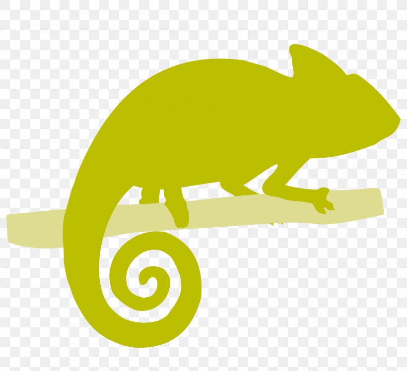 Carnivora Rodent Amphibian Reptile Clip Art, PNG, 1500x1369px, Carnivora, Amphibian, Carnivoran, Fauna, Grass Download Free