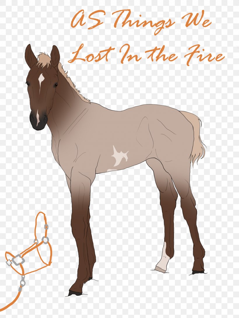 Mule Foal Stallion Pony Mare, PNG, 1600x2129px, Mule, Bridle, Colt, Deer, Donkey Download Free
