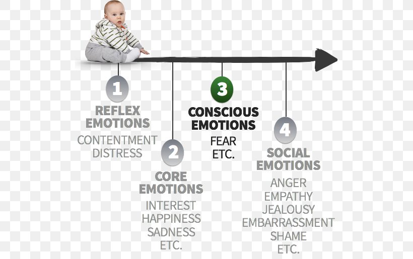 Self-conscious Emotions Consciousness Marketing Human Behavior, PNG, 522x515px, Emotion, Area, Behavior, Brand, Consciousness Download Free