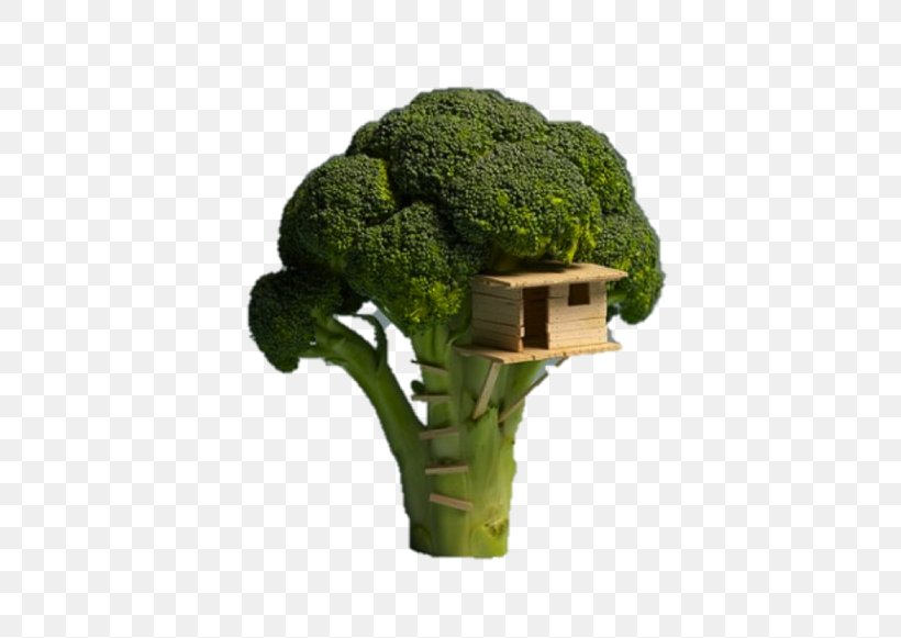 Tree House Veggie Burger Building, PNG, 800x581px, Tree House, Architectural Plan, Architecture, Building, Child Download Free