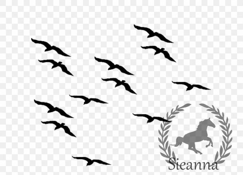 Bird Flight Bird Flight Flock Clip Art, PNG, 1101x793px, Bird, Animal Migration, Beak, Bird Flight, Bird Migration Download Free