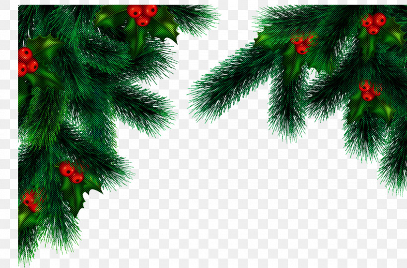 Christmas Tree, PNG, 1024x674px, Tree, Branch, Christmas, Christmas Decoration, Christmas Eve Download Free
