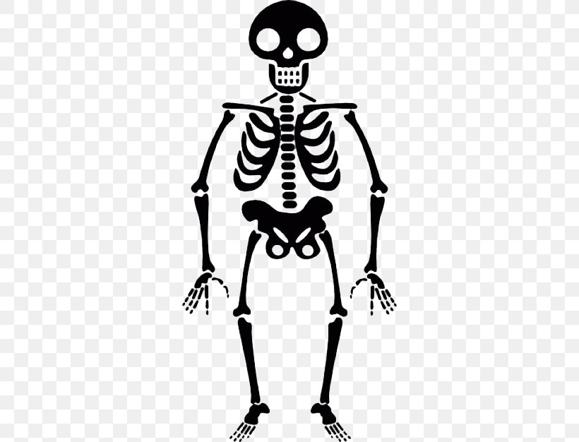 Human Skeleton Icon, PNG, 626x626px, Skeleton, Black And White, Bone, Halloween, Human Download Free