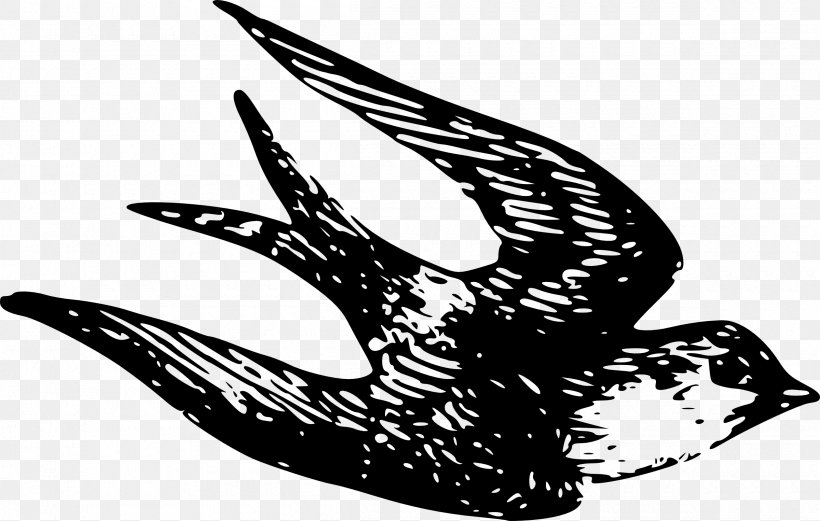 Swallow Sparrow Clip Art, PNG, 2400x1526px, Swallow, Barn Swallow, Black And White, Drawing, Free Content Download Free