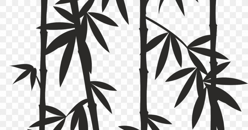 Tropical Woody Bamboos Drawing Image Painting, PNG, 1200x630px, Bamboo, Arecales, Art, Bamboo Textile, Blackandwhite Download Free