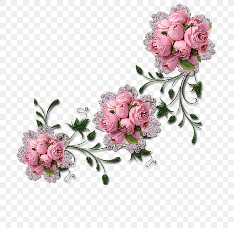 Garden Roses Meaning Name Flower Infant, PNG, 800x800px, Garden Roses, Artificial Flower, Blossom, Child, Cut Flowers Download Free