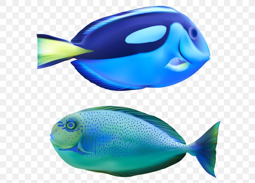 Vector Graphics Clip Art Fish Image, PNG, 600x590px, Fish, Animal, Blue, Bonyfish, Cartoon Download Free
