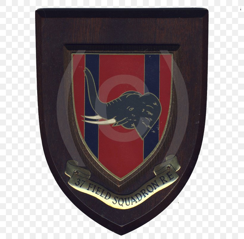 Royal Engineers 37 Armoured Engineer Squadron 35 Engineer Regiment, PNG, 800x800px, Royal Engineers, Army, Barracks, British Army, Division Download Free