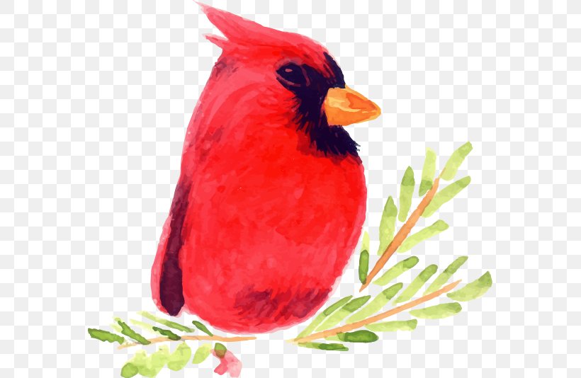 Bird Watercolor Painting Illustration, PNG, 571x534px, Bird, Beak, Cardinal, Cartoon, Fauna Download Free