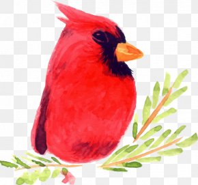 Hand-painted Christmas Cartoon Red Bird - Bird Watercolor Painting Illustration PNG