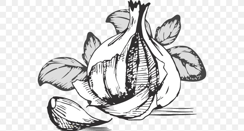 Garlic Food Vegetable Clip Art, PNG, 566x442px, Garlic, Art, Artwork, Auglis, Black And White Download Free