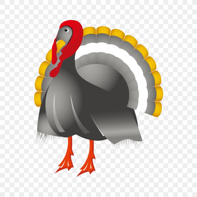 Turkey Wedding Invitation Thanksgiving Clip Art, PNG, 2500x2500px, Turkey, Beak, Bird, Chicken, Cornucopia Download Free