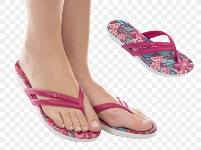 Aruba Slipper Flip-flops Grendha Ivete Sangalo Shoe, PNG, 1366x1024px, Aruba, Billboard, Black, Blue, Blue Rose Download Free