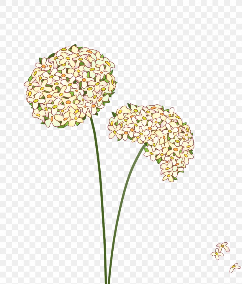 Common Dandelion Royalty-free Illustration, PNG, 948x1113px, Common Dandelion, Cut Flowers, Dandelion, Flora, Floral Design Download Free