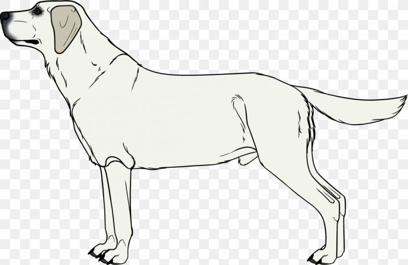 Dog Breed Puppy Sporting Group Retriever, PNG, 1109x720px, Dog Breed, Artwork, Black And White, Breed, Carnivoran Download Free
