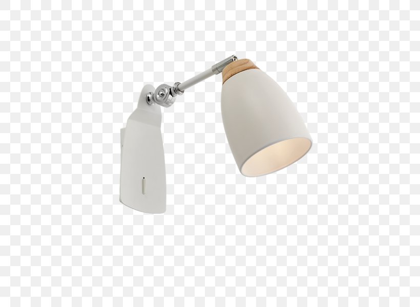 Light Fixture Lighting Argand Lamp, PNG, 800x600px, Light Fixture, Afacere, Argand Lamp, Company, Leaf Download Free