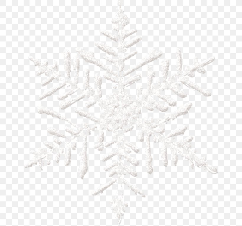 White Snowflake, PNG, 658x763px, White, Black And White, Chemical Element, Christmas Decoration, Christmas Ornament Download Free