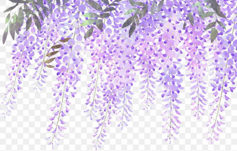 Flower Floral Design Lilac Lavender, PNG, 2650x1688px, Flower, Blue, Drawing, English Lavender, Floral Design Download Free