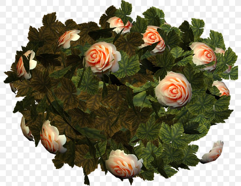Garden Roses Cut Flowers Flower Bouquet, PNG, 800x634px, Garden Roses, Artificial Flower, Atom, Christmas, Cut Flowers Download Free