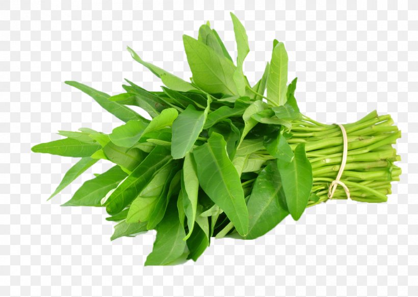 Green Papaya Salad Saag Water Spinach Leaf Vegetable, PNG, 1200x852px, Green Papaya Salad, Basil, Chili Pepper, Chives, Choy Sum Download Free