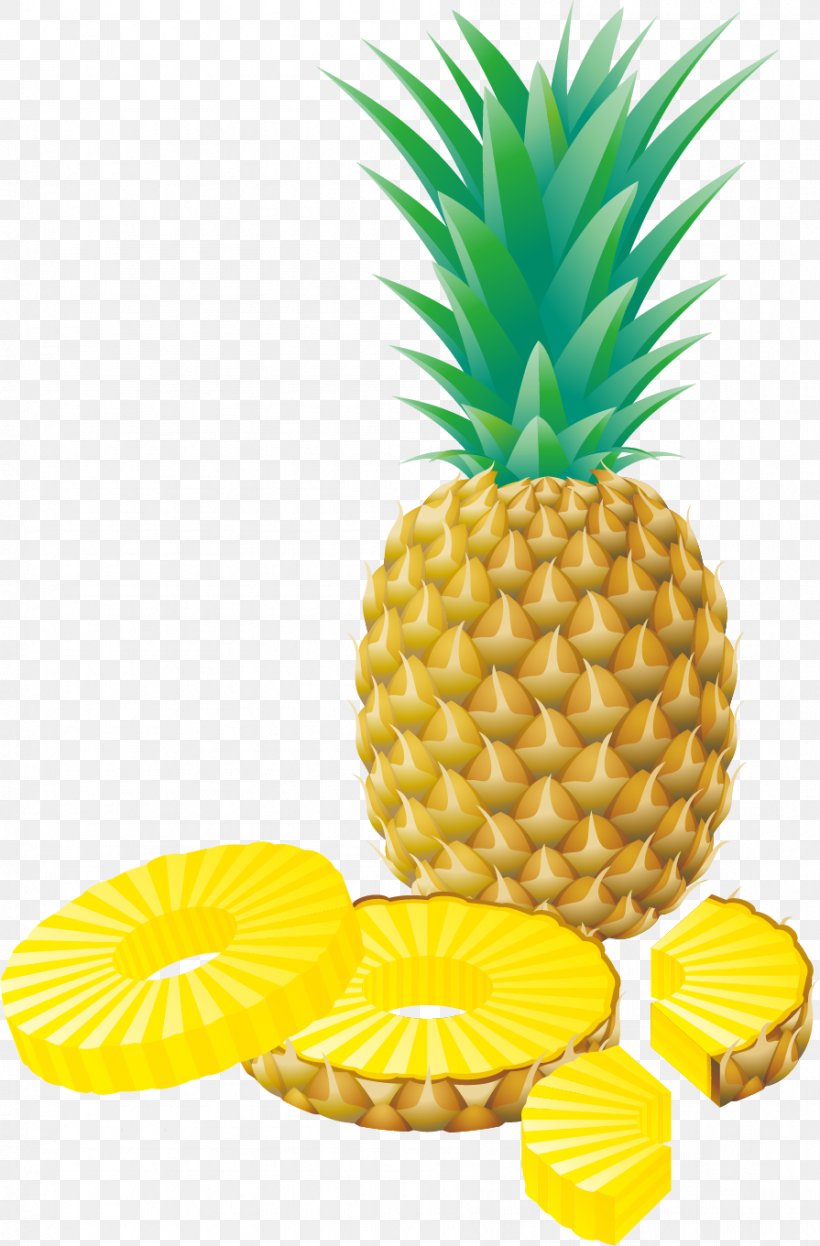 Pineapple, PNG, 895x1361px, Juice, Ananas, Animation, Auglis, Bromeliaceae Download Free