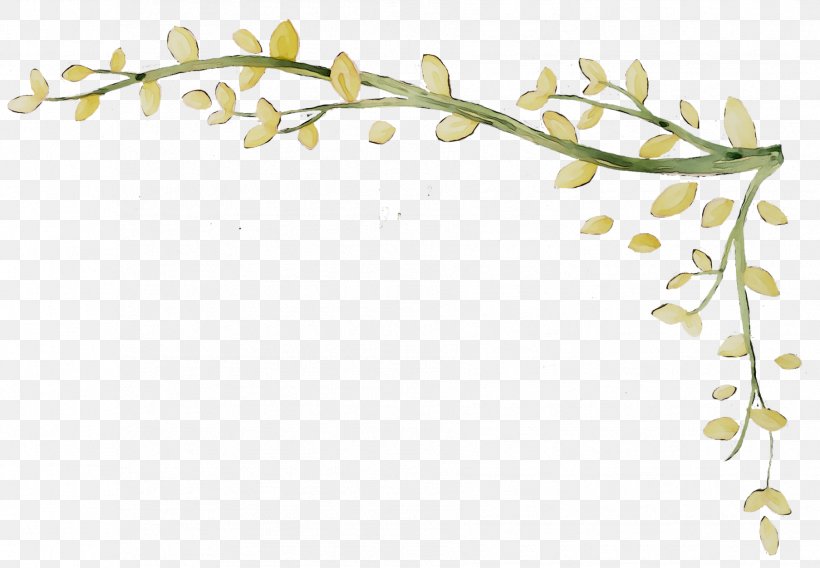 Desktop Wallpaper Clip Art Image Design, PNG, 1807x1252px, Vine, Botany, Branch, Drawing, Flower Download Free