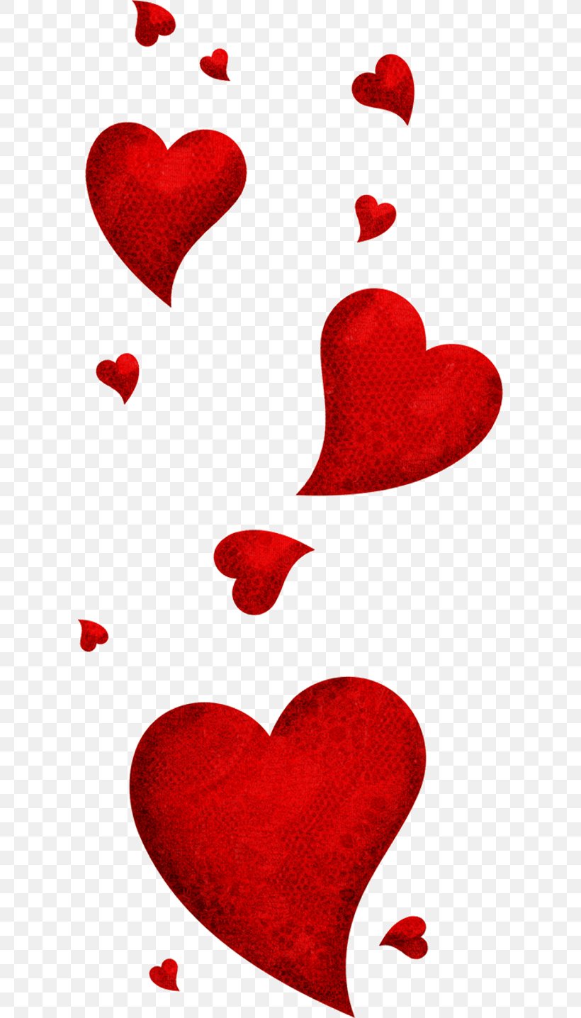 Rue Porte De La Monnaie 14 February Valentine's Day La Tupina Love, PNG, 600x1436px, Watercolor, Cartoon, Flower, Frame, Heart Download Free