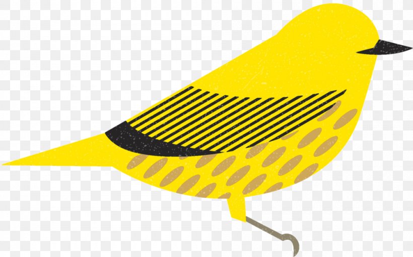 Bird Canada Beak Illustration Graphic Design, PNG, 1000x625px, Bird, Beak, Canada, Lettering, Project Download Free