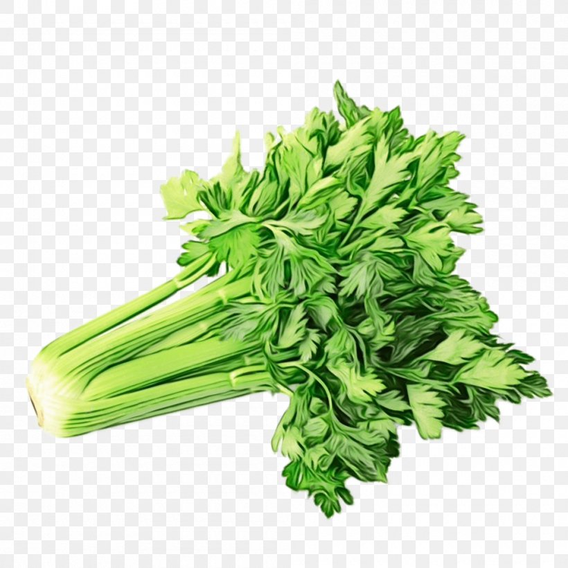 Green Leaf Background, PNG, 1000x1000px, Vegetable, Apium, Celeriac, Celery, Celery Salt Download Free