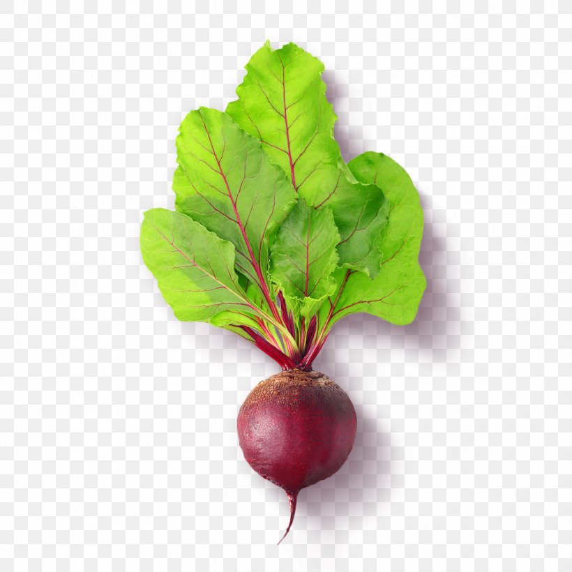 Chard Beetroot Food, PNG, 1250x1250px, Chard, Beet, Beetroot, Eating, Food Download Free