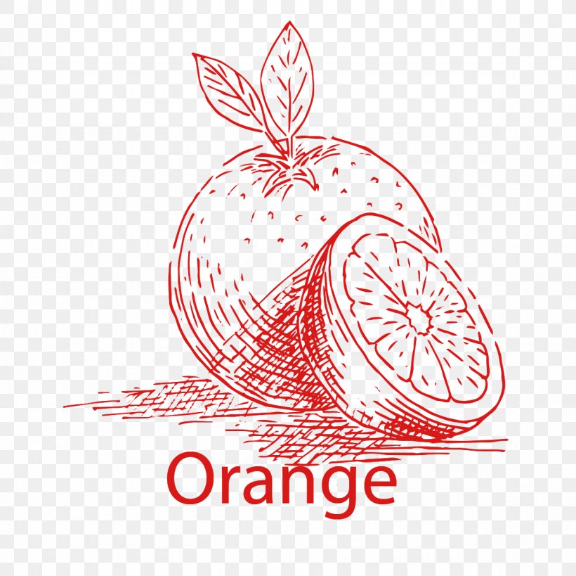 Hand Drawn Fruits, PNG, 1181x1181px, Fruit, Brand, Clip Art, Computer Graphics, Document Download Free