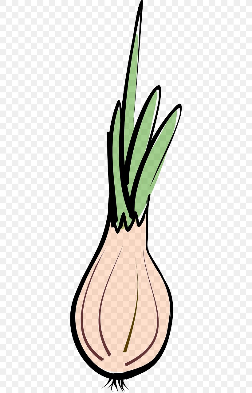 Shallot Vegetable Garlic Chives, PNG, 640x1280px, Shallot, Animation, Artwork, Capsicum, Chives Download Free