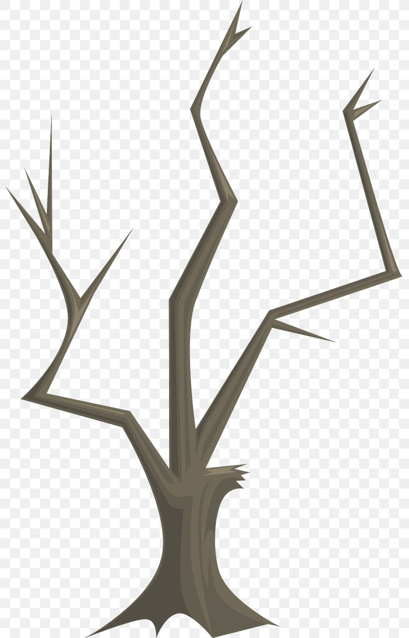 Twig Tree Branch Teradata Quiz Wood, PNG, 797x1280px, Twig, Antler, Bark, Branch, Forest Download Free