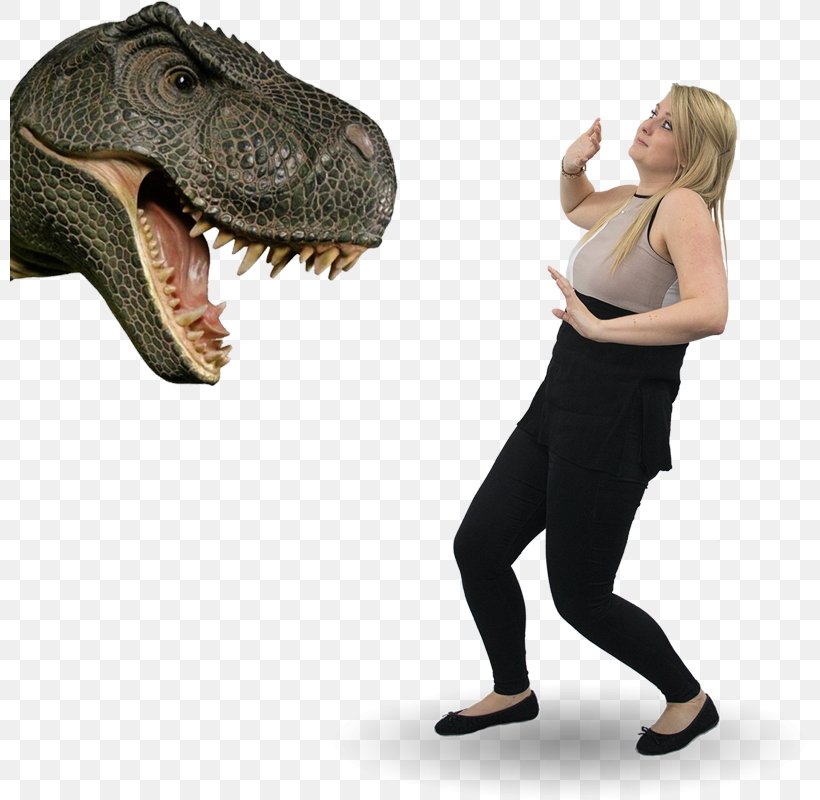 Tyrannosaurus Aggression Zara Emotion Sedgwick Claims Management Services, PNG, 800x800px, Tyrannosaurus, Aggression, Dinosaur, Emotion, Organism Download Free