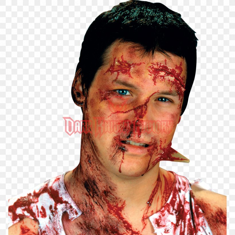 Accident / Crash FX Make Up Kit Costume Prosthetic Makeup Cosmetics Special Effects, PNG, 850x850px, Watercolor, Cartoon, Flower, Frame, Heart Download Free