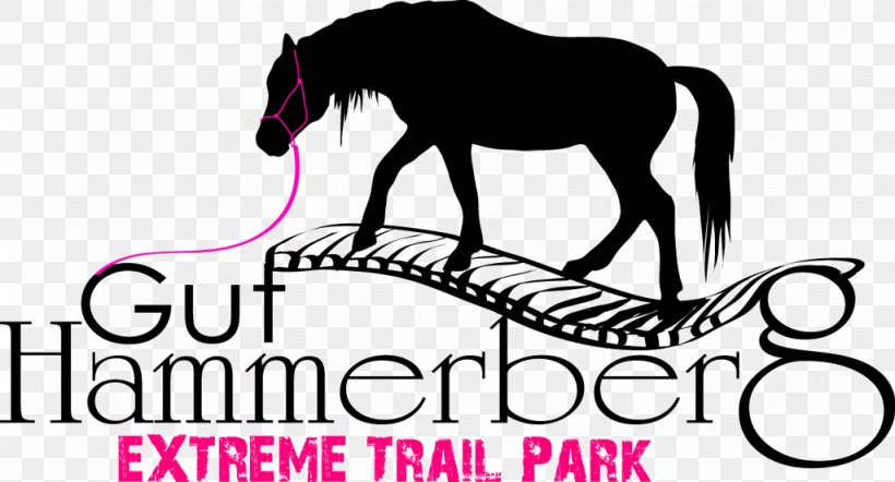 Extreme Trail Park Gut Hammerberg Reithalle Gut Bösenburg Pony Of The Americas, PNG, 1024x552px, Pony Of The Americas, Black And White, Brand, Bridle, Colt Download Free