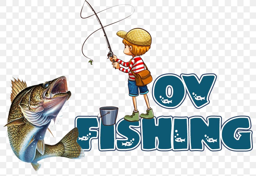 Fishing Bait Bass Fishing Fishing Rods Angling, PNG, 800x565px, Fishing, Angling, Bait, Bass, Bass Fishing Download Free