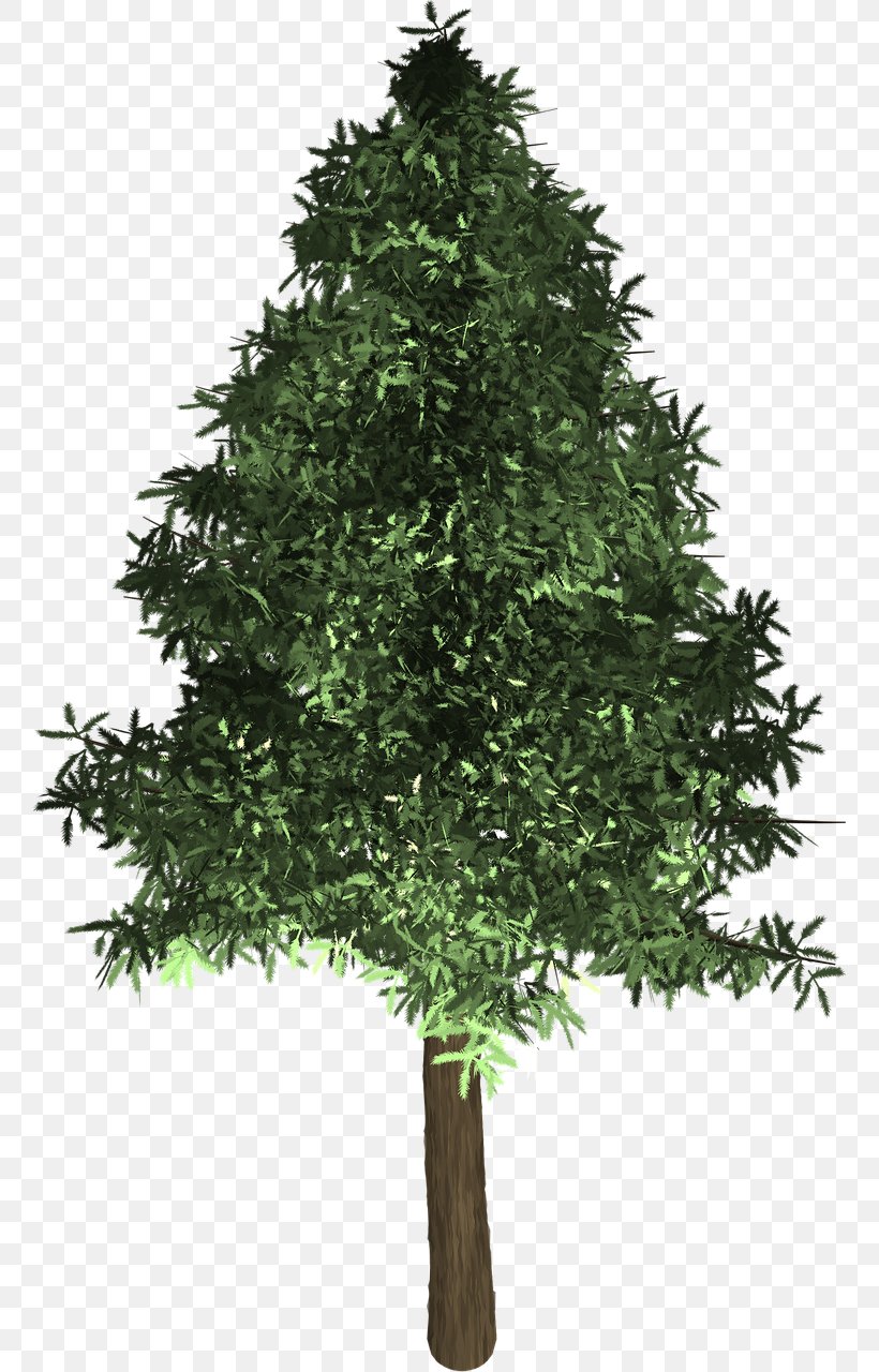 Spruce Fir Christmas Tree Evergreen, PNG, 758x1280px, Spruce, Branch, Christmas, Christmas Decoration, Christmas Ornament Download Free