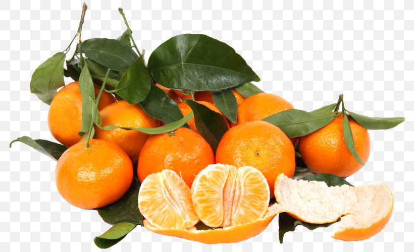 Tangerine Clementine Mandarin Orange Satsuma Mandarin Juice, PNG, 800x500px, Tangerine, Bitter Orange, Blood Orange, Calamondin, Chenpi Download Free