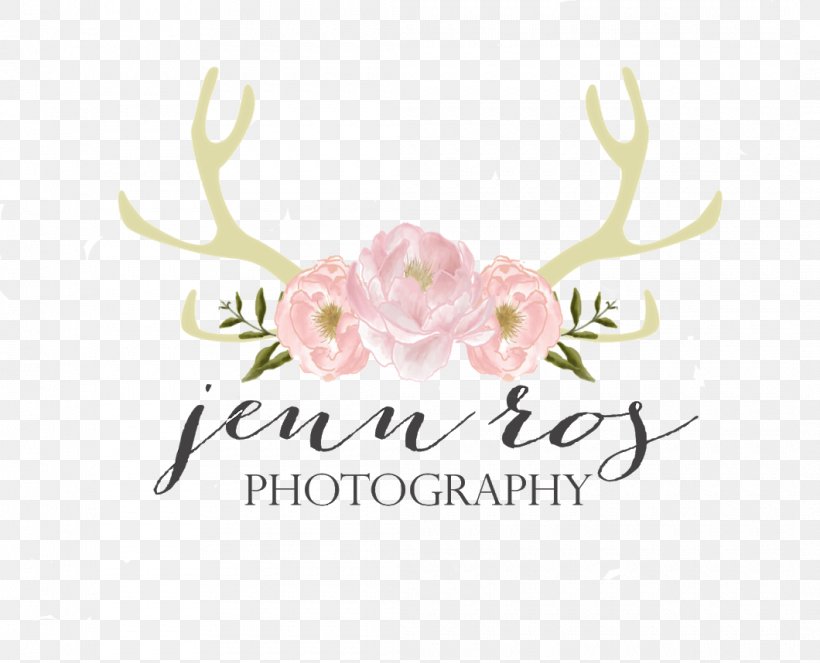 Floral Design Cut Flowers Rose Family Font, PNG, 1060x858px, Floral Design, Antler, Brand, Cut Flowers, Flora Download Free