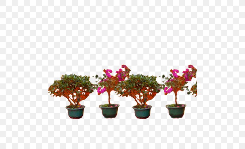 Flower, PNG, 500x500px, Flower, Flowerpot, Houseplant, Jpeg Network Graphics, Plant Download Free