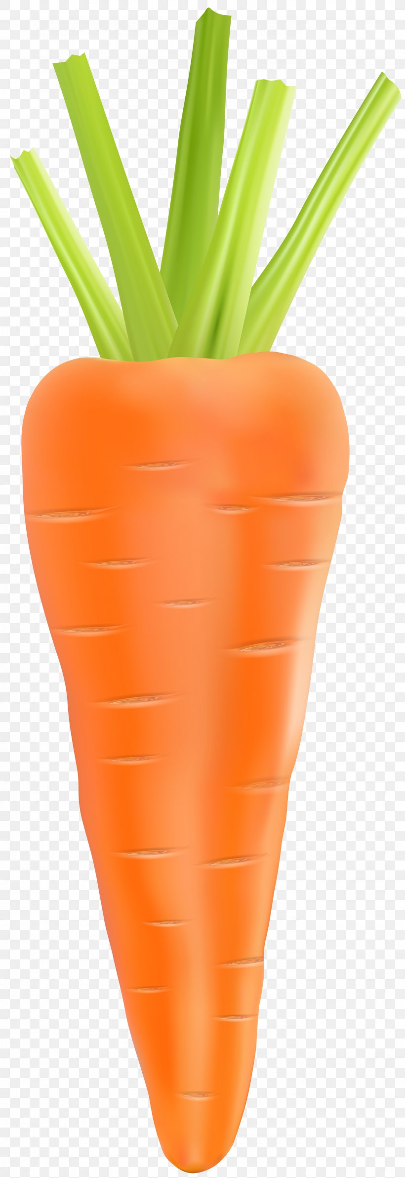 Baby Carrot Vegetable Clip Art, PNG, 2753x8000px, Carrot, Arracacia Xanthorrhiza, Baby Carrot, Biscuits, Flowerpot Download Free