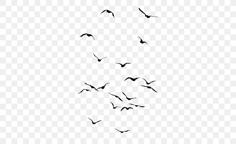 Bird Owl Drawing Flight Flock, PNG, 500x500px, Bird, Animal, Animal Migration, Area, Art Download Free
