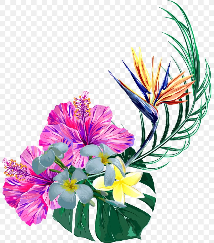 Floral Design Toucan Bird Plants, PNG, 801x931px, Floral Design, Art, Bird, Bird Of Paradise Flower, Cut Flowers Download Free